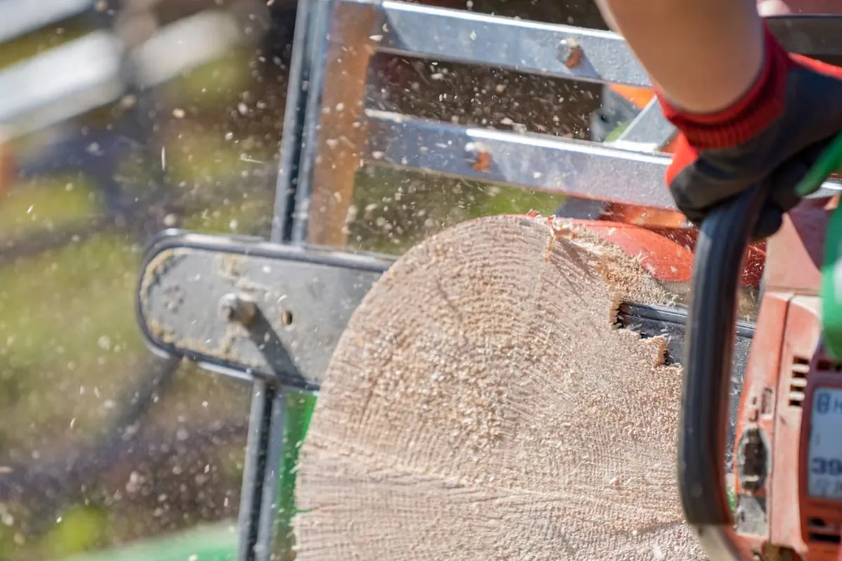Motorsäge beim Schneiden eines Holzstamms mit sichtbaren Holzspänen